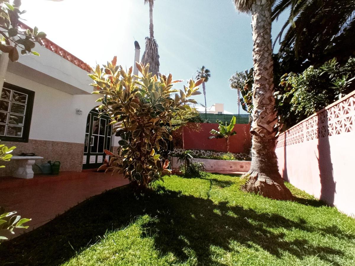 Finca Los Pajaritos Villa Icod De Los Vinos Exterior foto