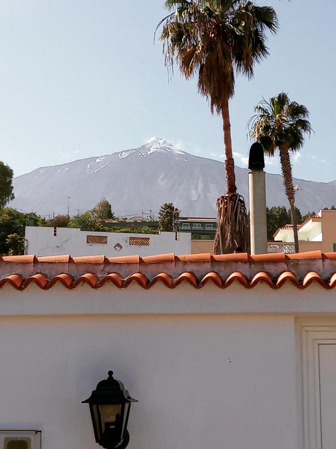 Finca Los Pajaritos Villa Icod De Los Vinos Exterior foto